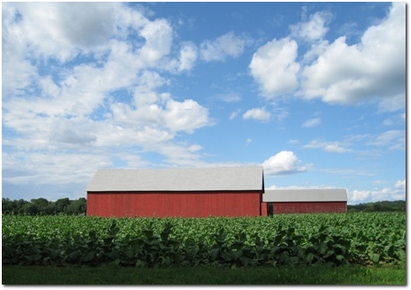 South Glastonbury Tobacco Farm