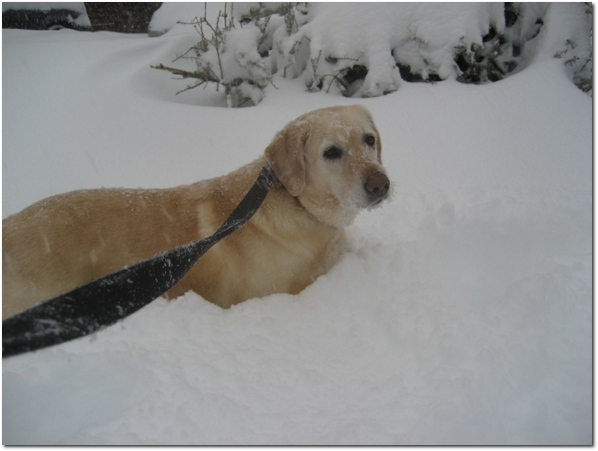 Libby During Our Walk