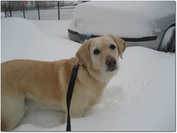 Libby Before Our Walk