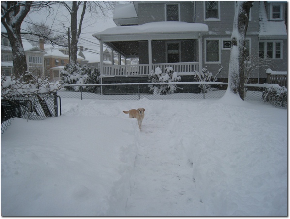 Libby Checking out the Pathway