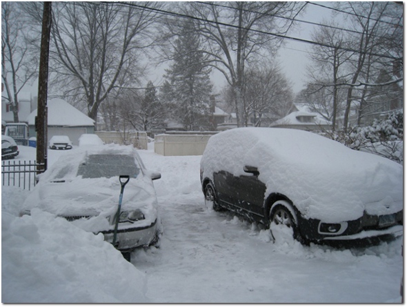 Snowy Cars