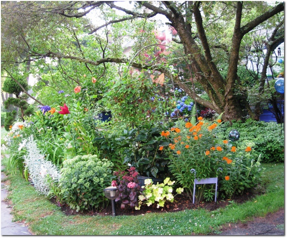 Summer Flowers in the West End of Hartford