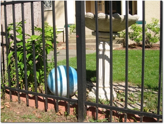 Blue and White Ball Litter