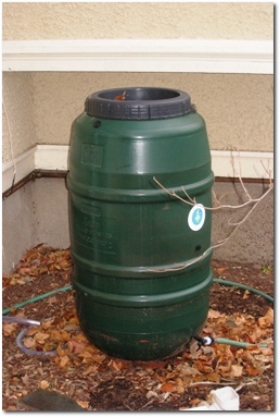 Rain Barrel