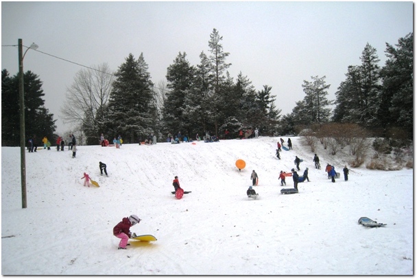 Sledding at Elizabeth Park, Hartford