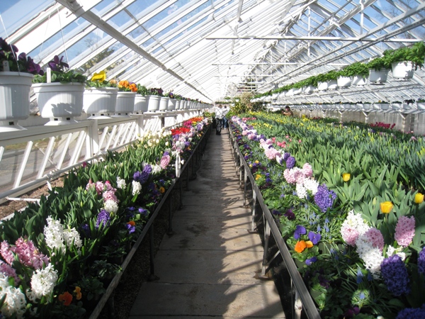 Elizabeth Park Greenhouse