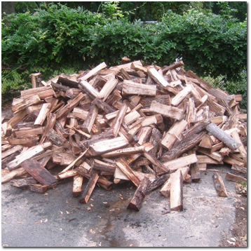 Firewood Ready to be Stacked