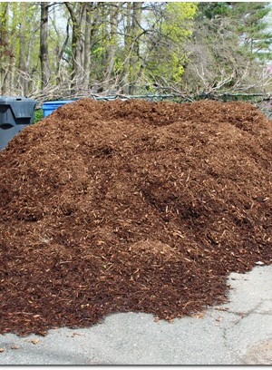 Mulch Pile